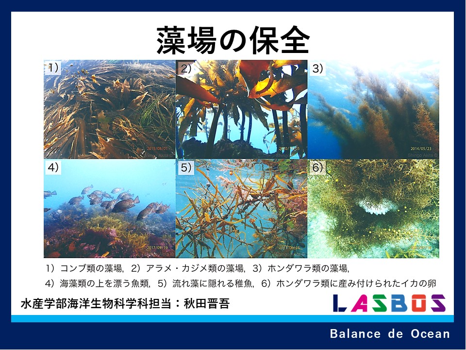 海洋生態学 溝端浩平 東京海洋大学海洋科学部 海洋環境学科 環境システム